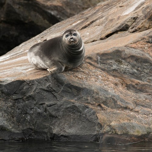 Знакомство с Байкалом: Ольхон, Бурятия и круиз с ночёвкой на корабле