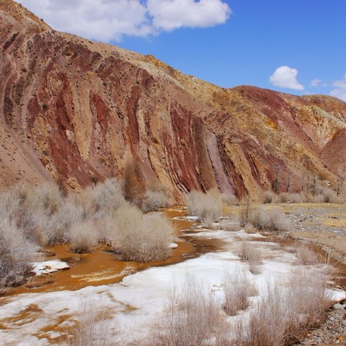 Майские на Алтае в сезон цветения маральника с ежедневными прогулками (всё включено)