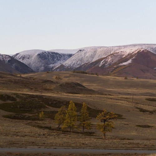Из Алтая, по Чуйскому тракту — в Монголию на фестиваль беркутчи с проживанием в юрте