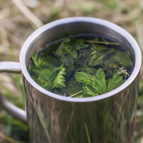 Лёгкий сплав на катамаранах по реке Немде с прогулками и проживанием в палатках