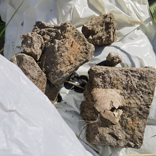 За окаменелостями музейного уровня в Ярославскую область с палеонтологом