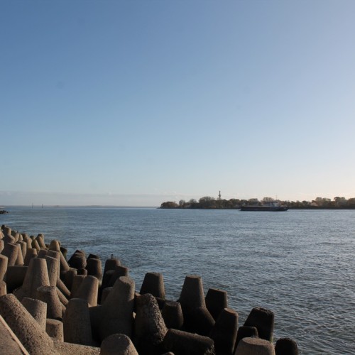 Насыщенные выходные в Калининградской области: автопутешествие только для вашей компании