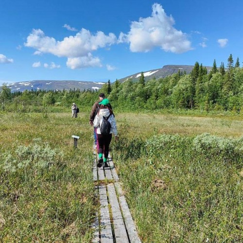 Путешествие в Русскую Арктику с морской прогулкой: Териберка, Мурманск, Сейдозеро и Хибины