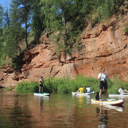 Сап-прогулка по реке Оредеж — из Петербурга