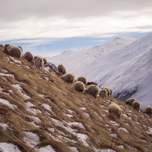 Магический Дагестан глазами горца: путешествие с мастер-классом и активностями (всё включено)