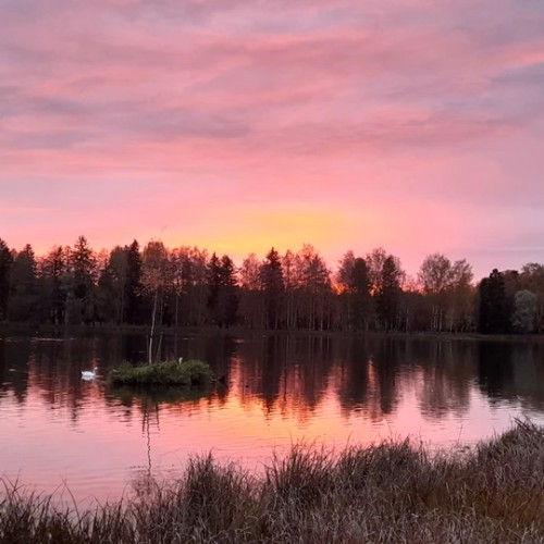 Все парки и замки Гатчины за один день