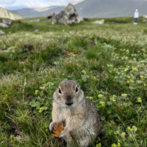 Комфортный треккинг в Приэльбрусье в мини-группе