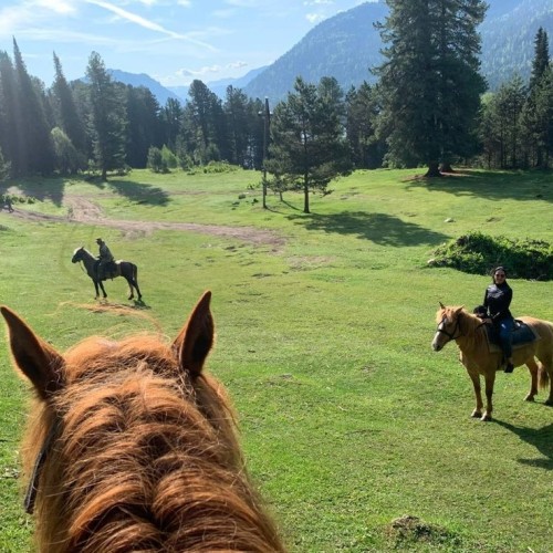 Большое путешествие по Горному Алтаю