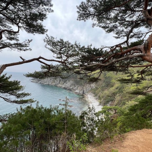 Гастрономическое путешествие в русский Сан-Франциско