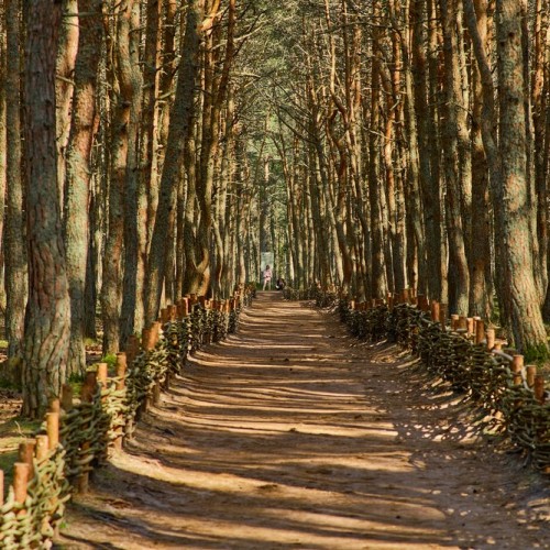 Море, котики, курорты: главное в Калининградской области