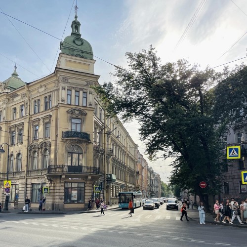 Дворцы и хижины Петроградки