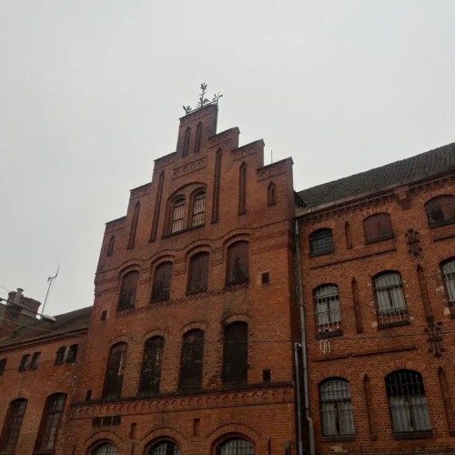 По популярным местам Калининграда и области: тур с длительностью на ваш выбор и заездом в любой день