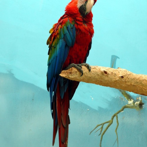 Семейное путешествие в Москву: прогулка с фонарщиком, детективная экскурсия и «Мосфильм»