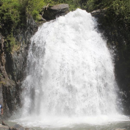 Из Горно-Алтайска в посёлок Яйлю и на Телецкое озеро — на катере