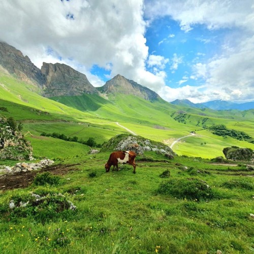 Приезжайте на Кавказ — будет пир и тост за вас! Тур с застольями, дегустацией и казачьей свадьбой