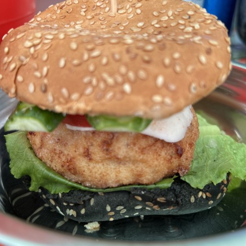 Результативная рыбалка на Гусином озере в своей компании