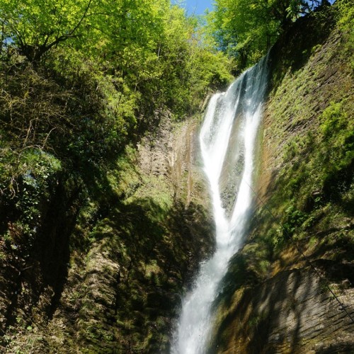 Лёгкий треккинг в субтропиках с проживанием в гостинице в Адлере