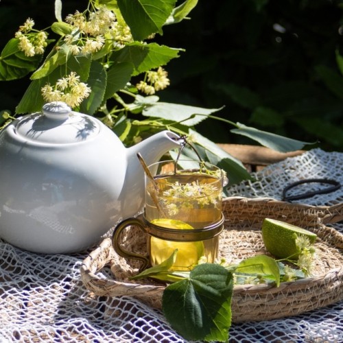 По знаковым местам Алтая с чаепитием у травницы и моторафтингом по Катуни