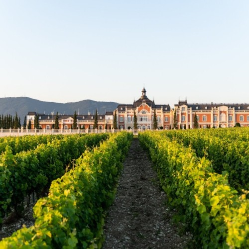 На одной широте с виноградниками Италии: гастропутешествие по винодельням Краснодарского края