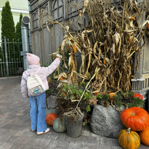 Отпуск у Балтийского моря: Зеленоградск и топовые места области