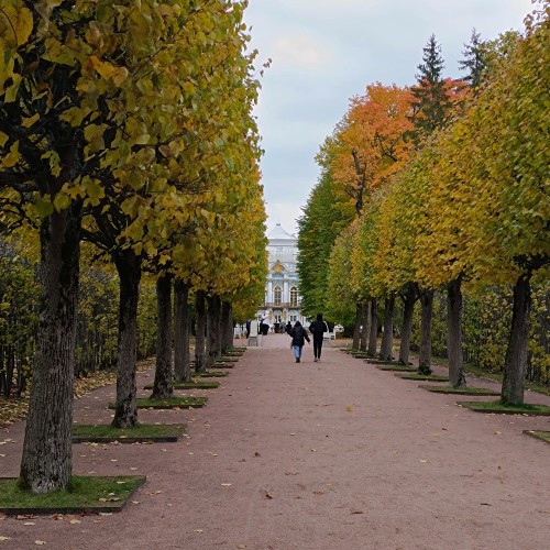 В Пушкин — по дворцам!