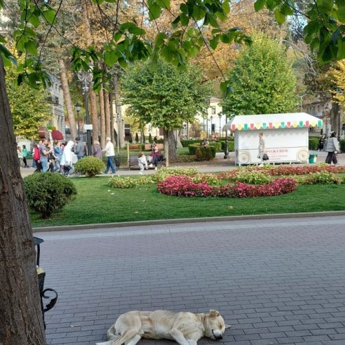 По Кавказу в мини-группе: Нальчик, Верхняя Балкария, Домбай и курорты КМВ
