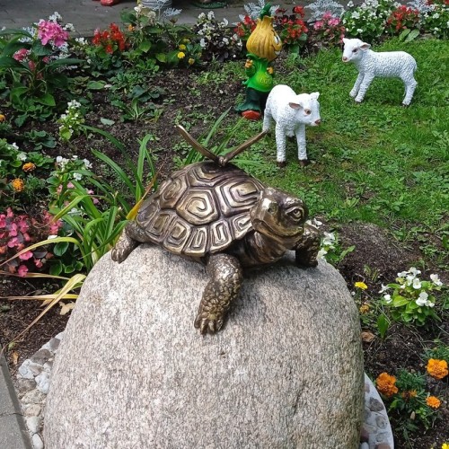 Встречай, янтарный край: индивидуальное путешествие по городам Калининградской области