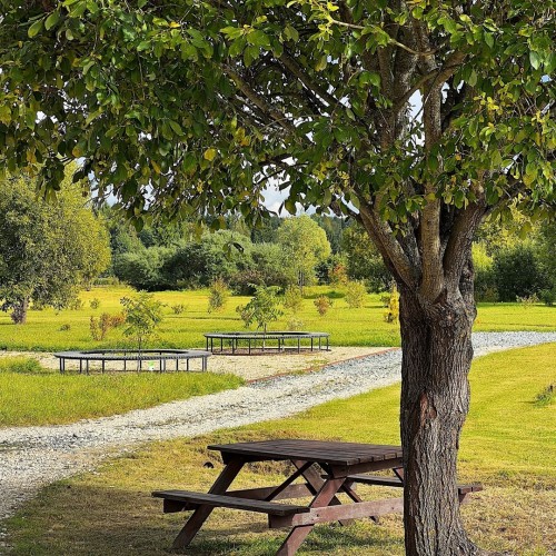 Выходные в Йошкар-Оле: набережная Брюгге, замок Амстердам и «Йошкина кошка»