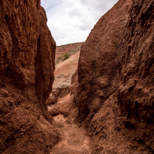 Комфорт-тур на Алтай с фотографом: полёт на вертолёте, парение и главные места (всё включено)