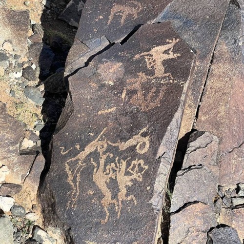 От пустыни до оазисов: большое путешествие по Монголии и Улан-Удэ