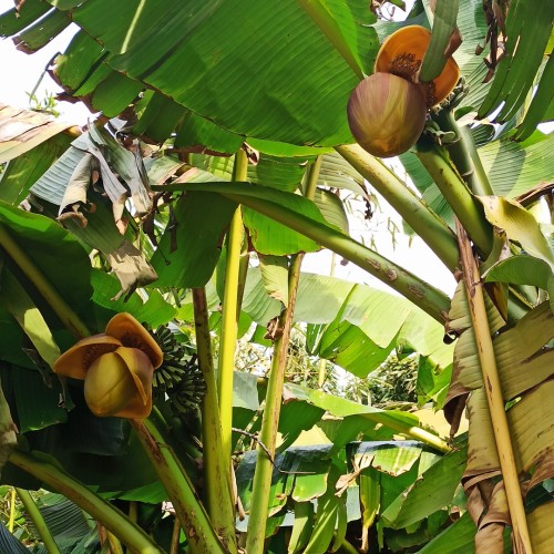 Дни и ночи в дивном Сочи: город и окрестности