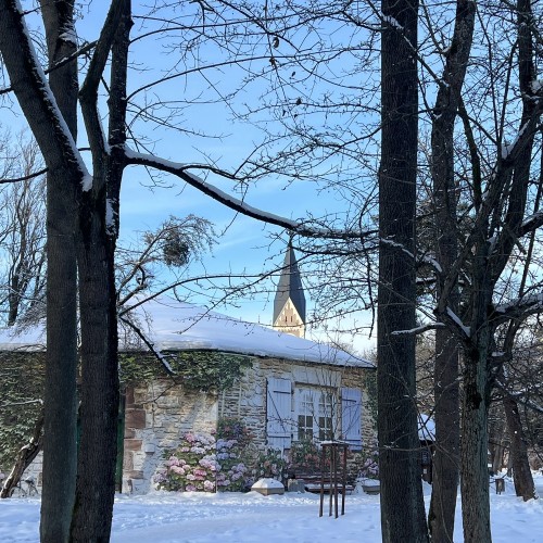 От вилл Амалиенау — в антикварную лавку: мастер-класс по работе со старинными предметами
