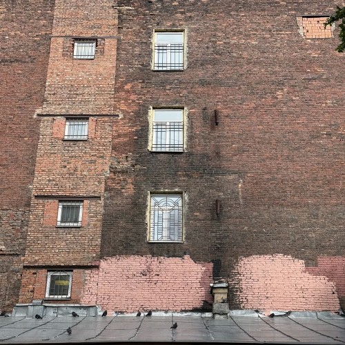 По Васильевскому с островитянином!