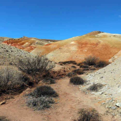 Тур по главным и редким местам Алтая на УАЗах: Чуйский тракт, горы, урочища, озёра и скалы