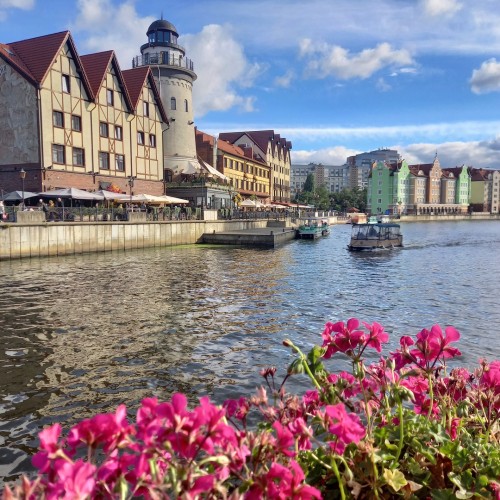 Калининградское наследие Восточной Пруссии: немецкая архитектура Раушена, Кёнигсберга, Пиллау