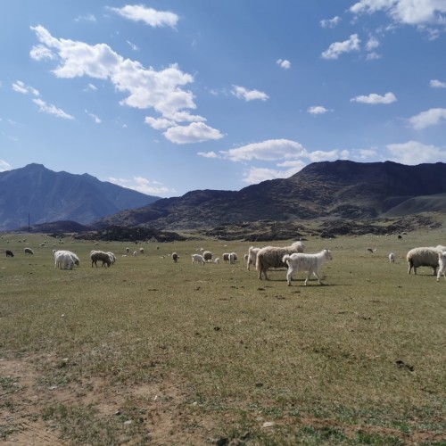 Счастье в горах! От Горно-Алтайска до Монголии через долину Актру: путешествие с треккингами