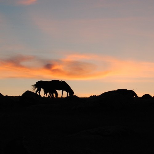 На внедорожнике по Бурятии и Монголии: 3 дня с видом на вершины Восточного Саяна (мини-группа)