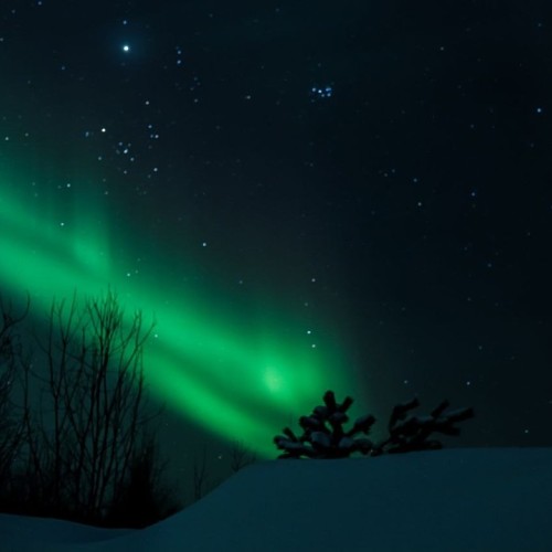 Экспресс-выезд в Териберку: гастрономия, северное сияние, главные места, хаски и олени