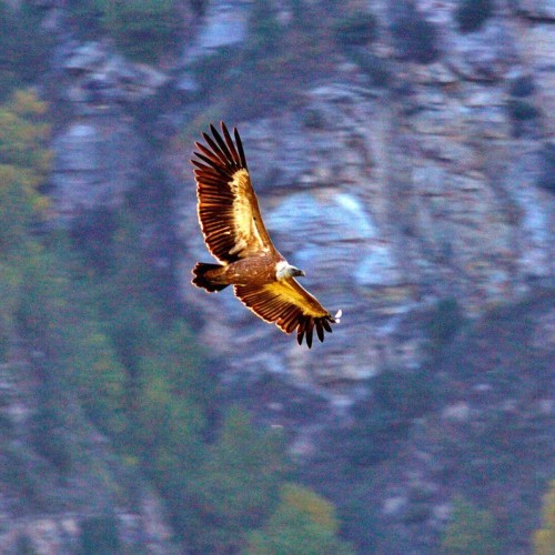 Выше облаков на 3760 метров на гору Шалбуздаг: треккинг налегке с проживанием в гостинице