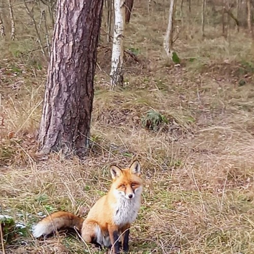 Увлекательные выходные: Калининград и курортные городки с местным гидом