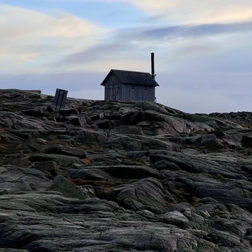 Индивидуальный джип-выезд по Кольскому с поисками китов, знакомством с саамами и катанием на оленях