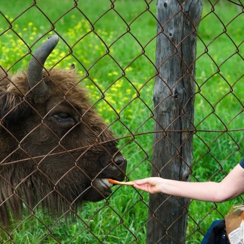 Топовые и необычные места Алтая в мини-группе: Чуйский тракт, озеро Джангыскёль и лёгкий треккинг