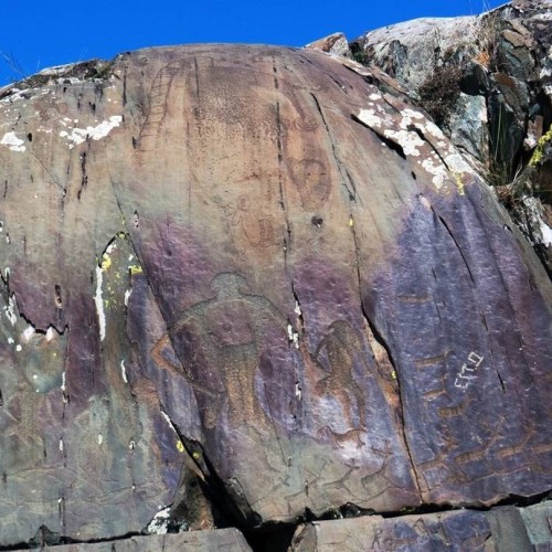 Наедине с Алтаем: высокогорные озёра, живописные долины и неземной ландшафт (всё включено)