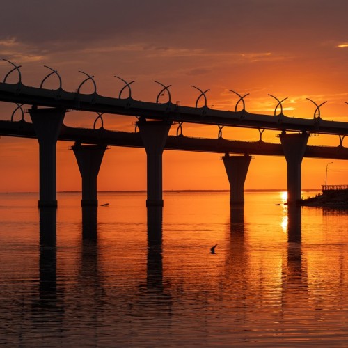 Неизведанные острова Северной столицы: Петровский и Канонерский