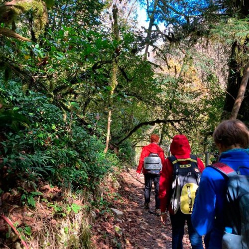 Лёгкий треккинг в субтропиках с проживанием в гостинице в Адлере