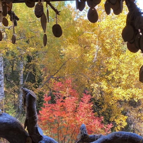 50 оттенков золота: путешествие по сентябрьскому Алтаю в мини-группе