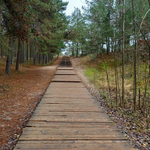 Увлекательные выходные: Калининград и курортные городки с местным гидом