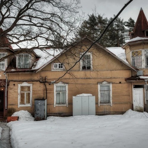 Комарово: аудиопрогулка по Лесной стороне