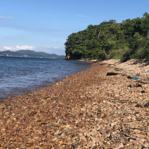 По волнам Японского моря на яхте с маской, сапом и деликатесами (мини-группа)