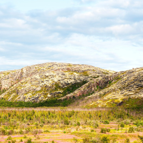 Удивительный Кольский: Сейдозеро, полуостров Средний и Териберка